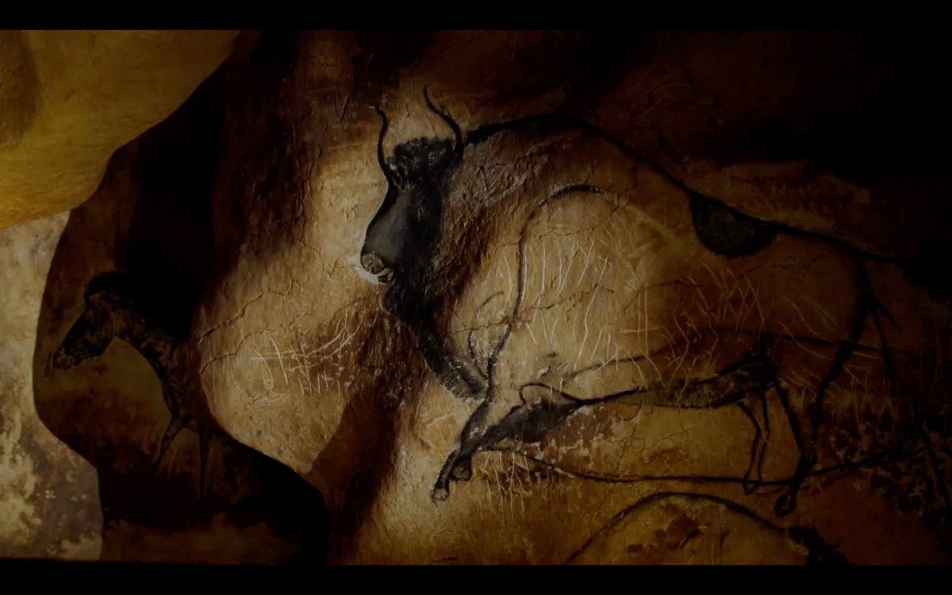 Sapiens ou la naissance de l'art